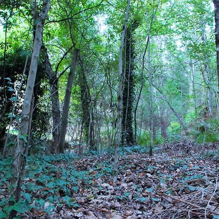 Отель Eco Camping Juncal Марку-ди-Канавезиш Экстерьер фото