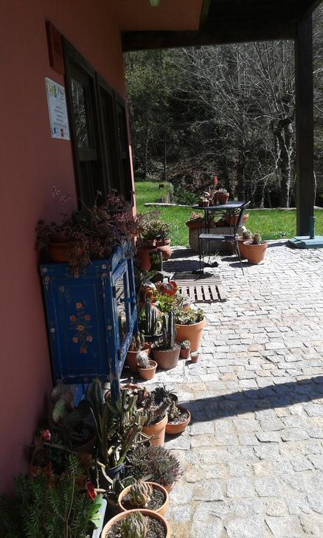 Отель Eco Camping Juncal Марку-ди-Канавезиш Экстерьер фото