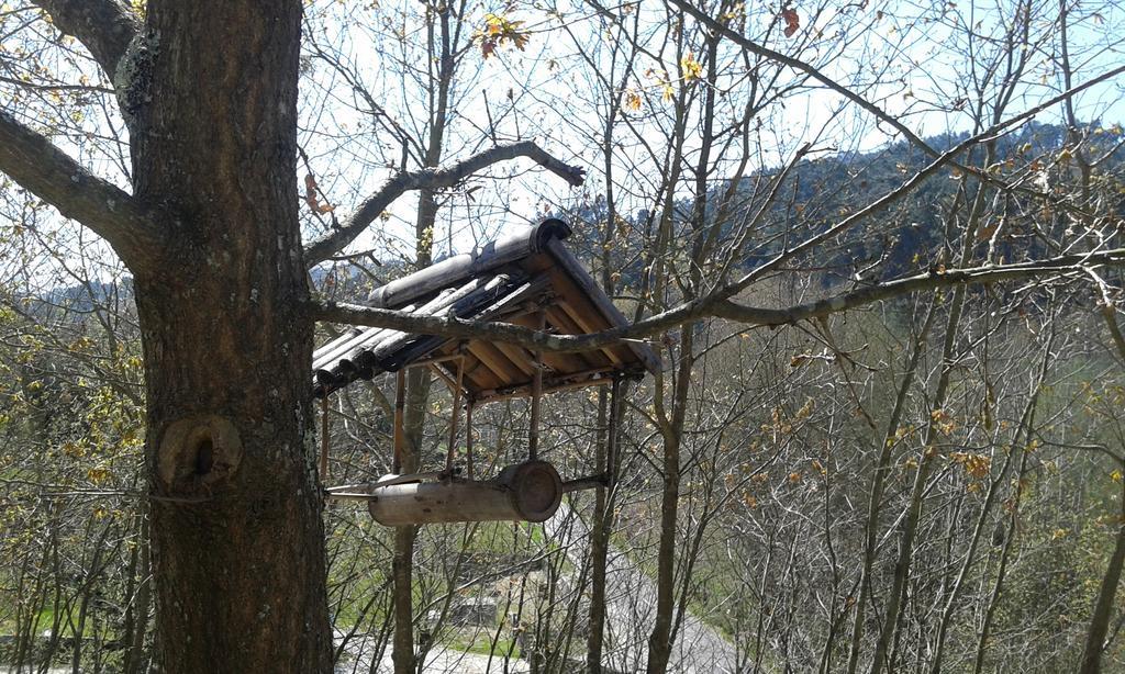 Отель Eco Camping Juncal Марку-ди-Канавезиш Экстерьер фото