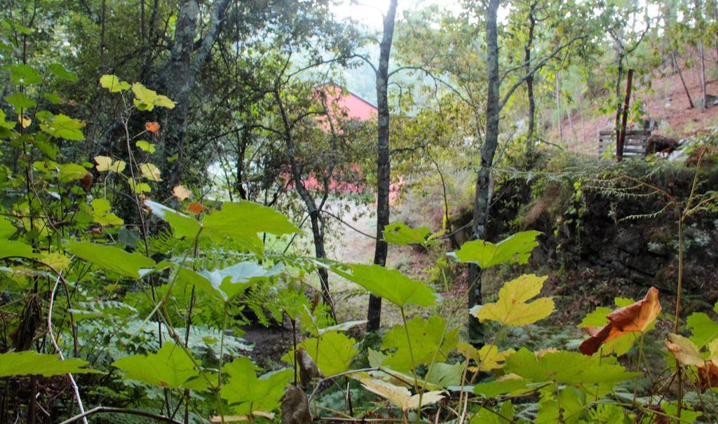 Отель Eco Camping Juncal Марку-ди-Канавезиш Экстерьер фото